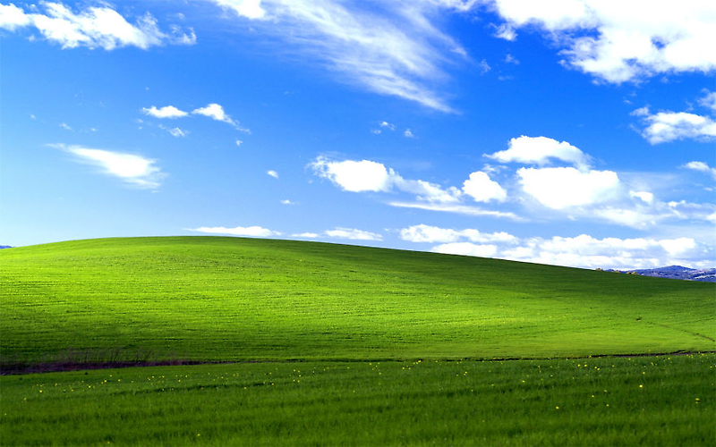 화면 윈도우 xp 배경 '윈도우 XP