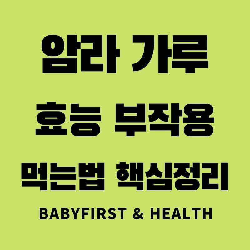 암라 가루 효능 부작용 먹는법 핵심정리 :: BaBy First & Health