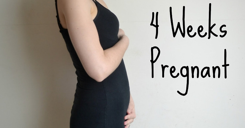 임신 2 개월 째 임산부가 주의해야할 증상과 태아의 모습
