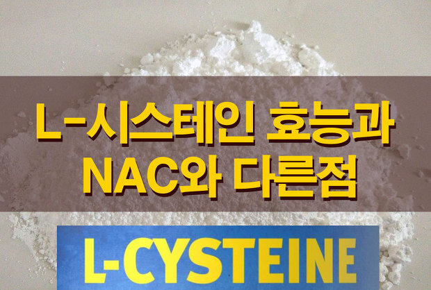 L-시스테인 효능 - NAC와 차이점, 부작용, 복용량 | 효능백과