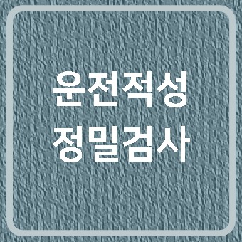 운전적성정밀검사 예약 장소 소요시간 - Pilipala