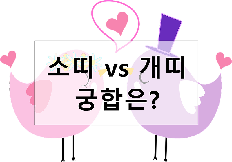 재미로보는 소띠 vs 개띠 궁합