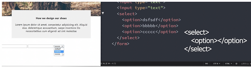 21.Dec.18 HTML & CSS // form& input& label + CSS 고수는 CSS 재활용을 한다.