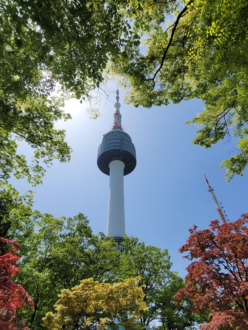 남산(南山)(20240427)