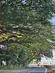 7ae88275b1816df13ced87e5428376733a09aea00749bc92a342d3ac355d75
