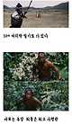 최종병기활 카피 의혹 있었던 이유