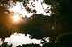 7ded8174bc8b6fff3eef87e558db343ad41c72a59f7645c8f8bf3948