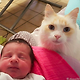 출처: https://3milliondogs.com/catbook/cat-appoints-himself-as-new-babys-bodyguard/?gallery=7#galleryview