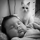 출처: https://3milliondogs.com/catbook/cat-appoints-himself-as-new-babys-bodyguard/?gallery=7#galleryview