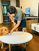 출처: https://www.ladbible.com/news/animals-dog-tricks-owner-into-thinking-its-not-eaten-a-treat-20201115