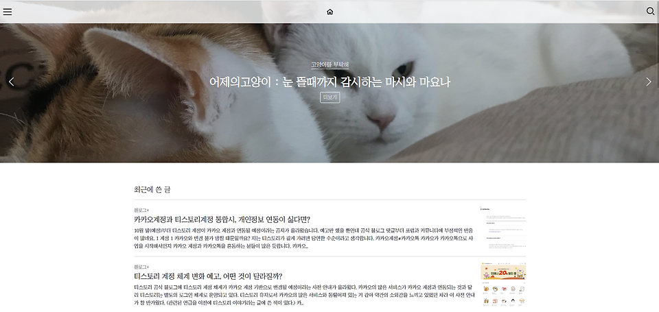 글의 미리보기 사진