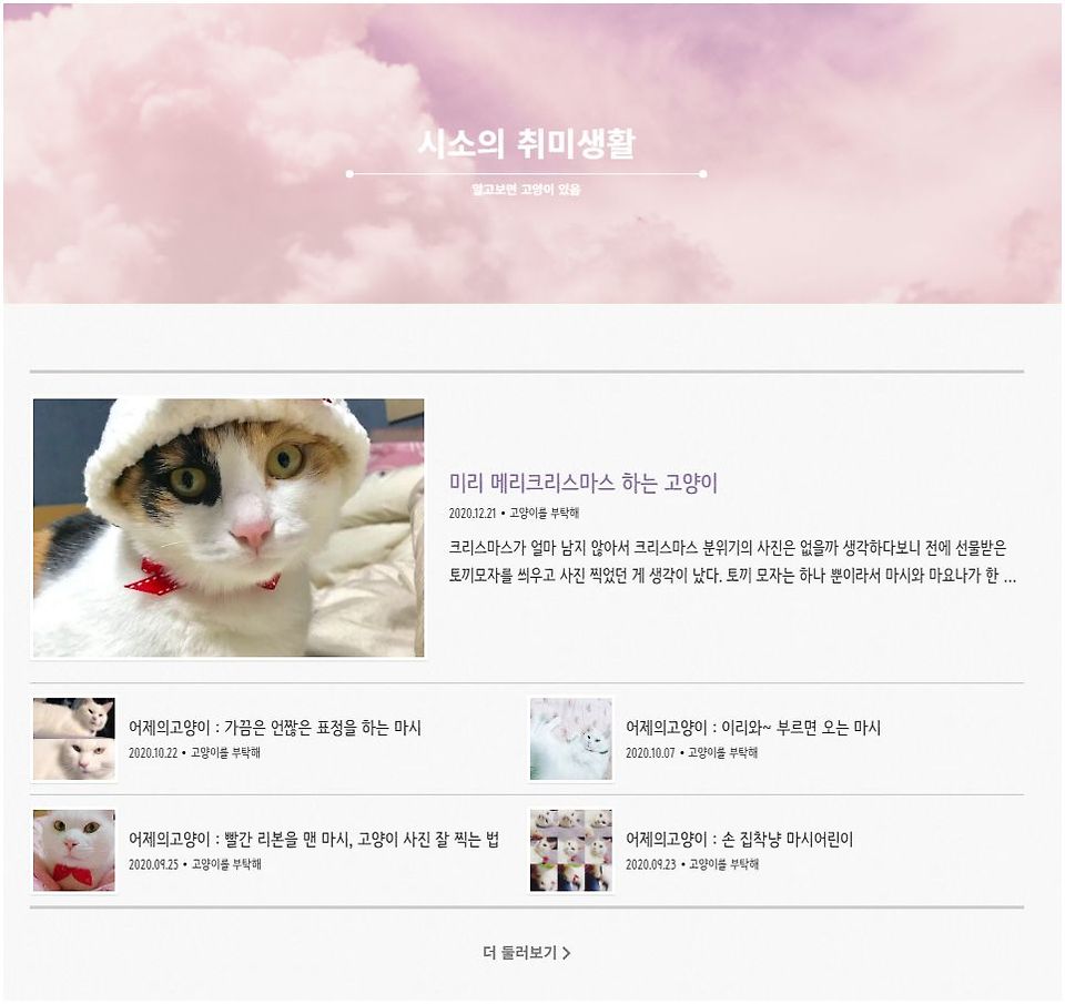 글의 미리보기 사진