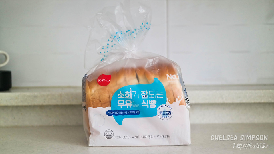 글의 미리보기 사진