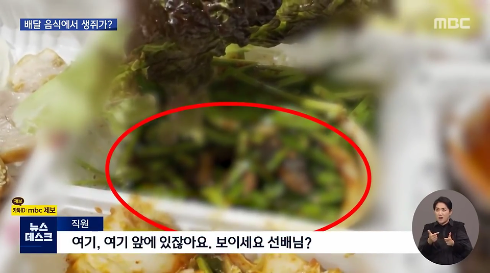 글의 미리보기 사진