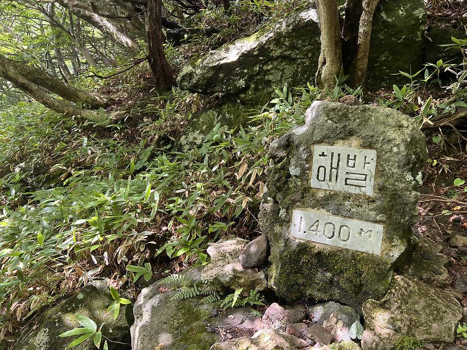 글의 미리보기 사진