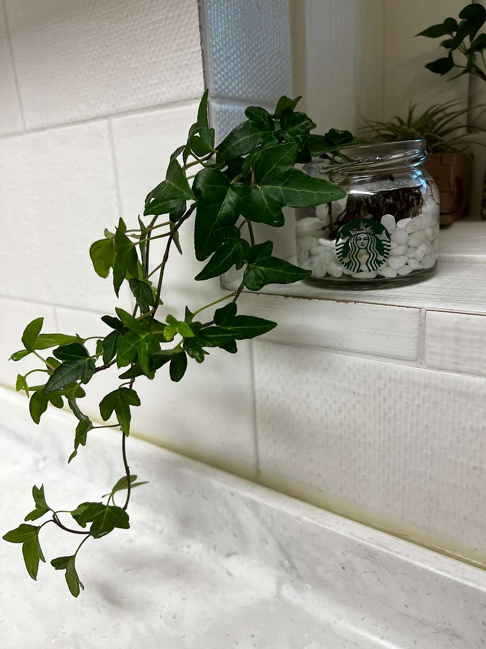글의 미리보기 사진
