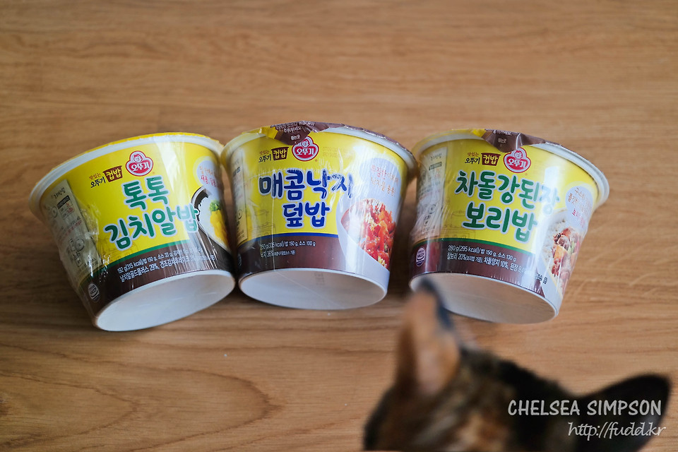 글의 미리보기 사진
