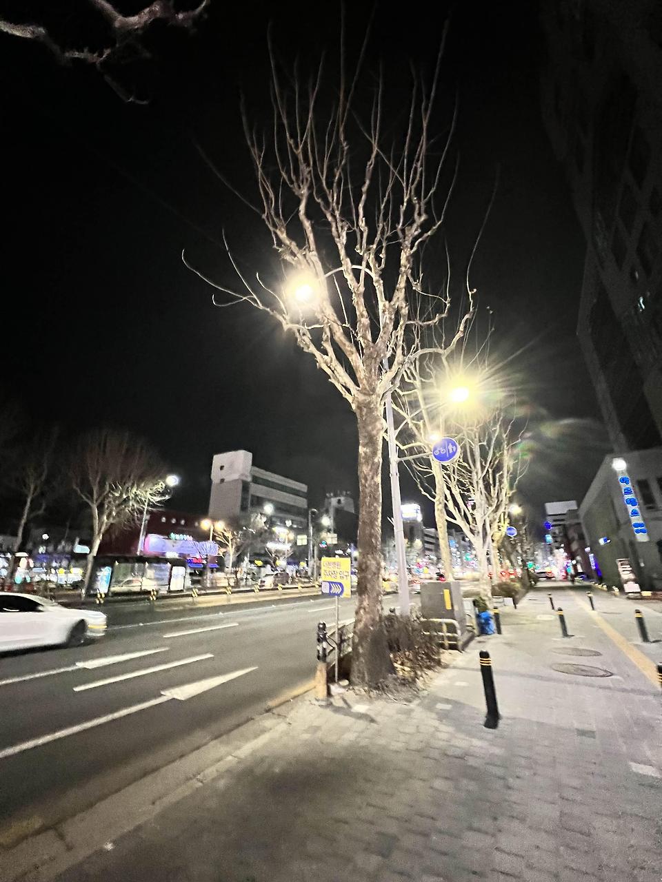 글의 미리보기 사진