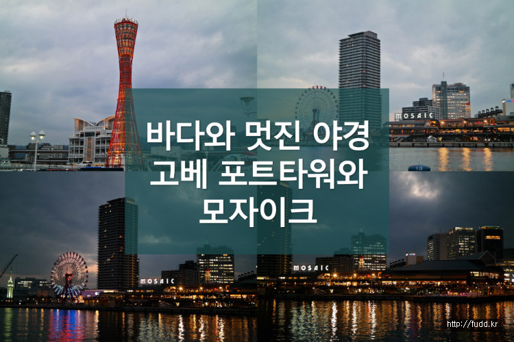 글의 미리보기 사진