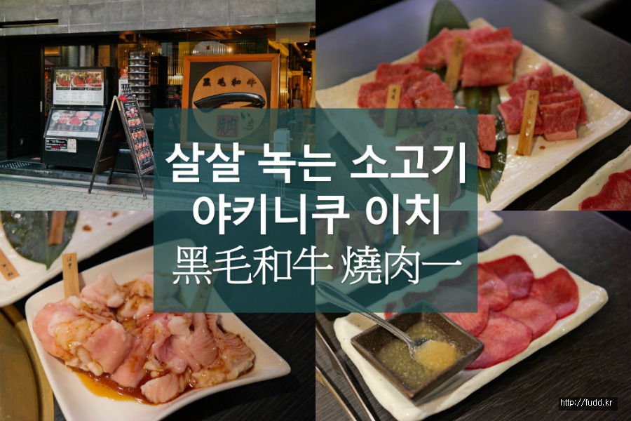 글의 미리보기 사진