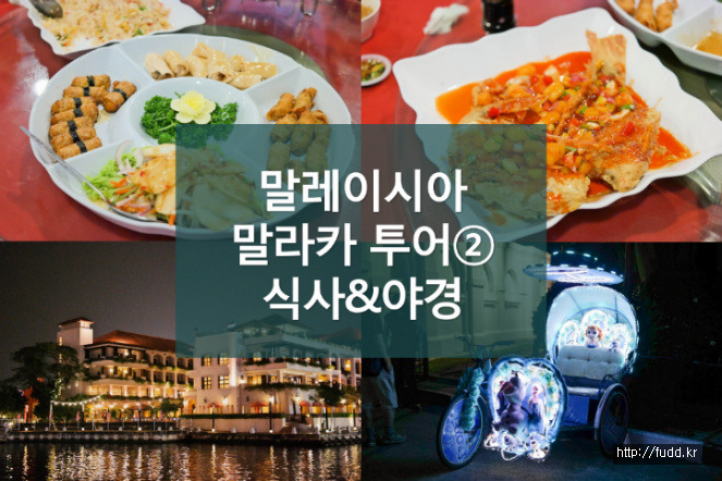 글의 미리보기 사진