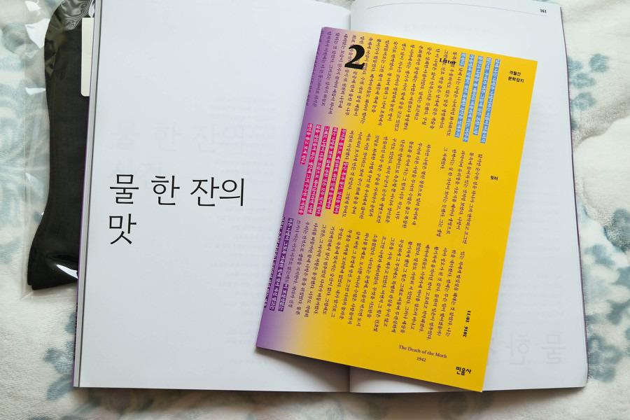글의 미리보기 사진