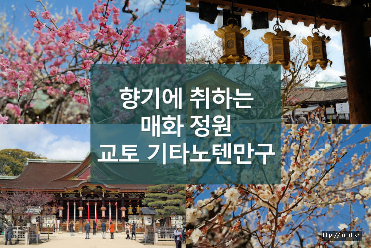 글의 미리보기 사진