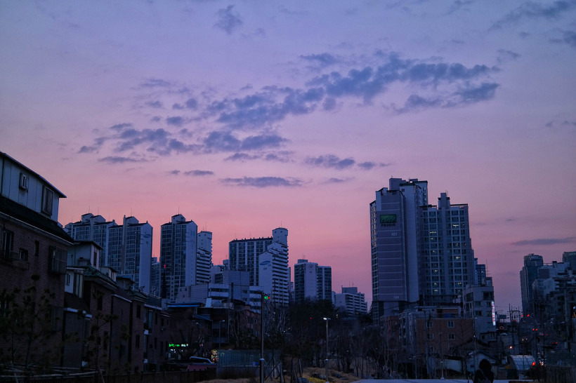 글의 미리보기 사진