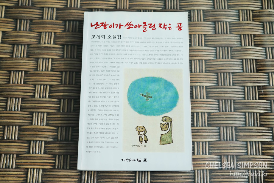 글의 미리보기 사진