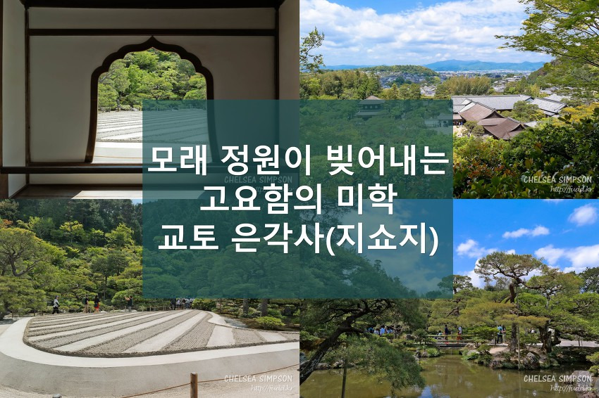 글의 미리보기 사진
