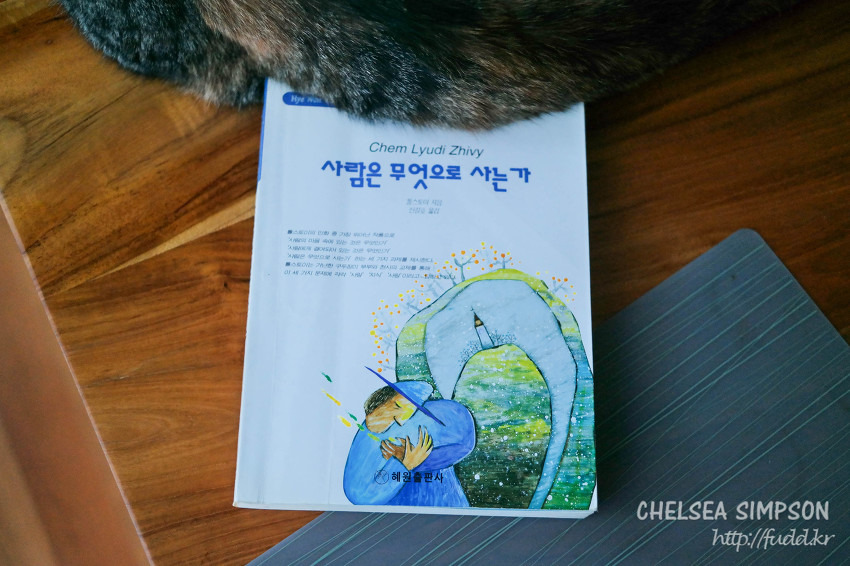 글의 미리보기 사진