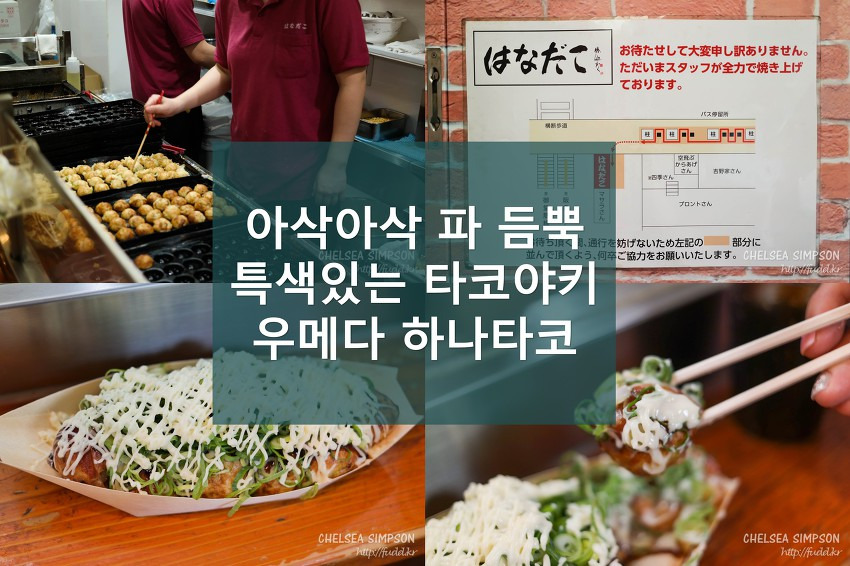 글의 미리보기 사진