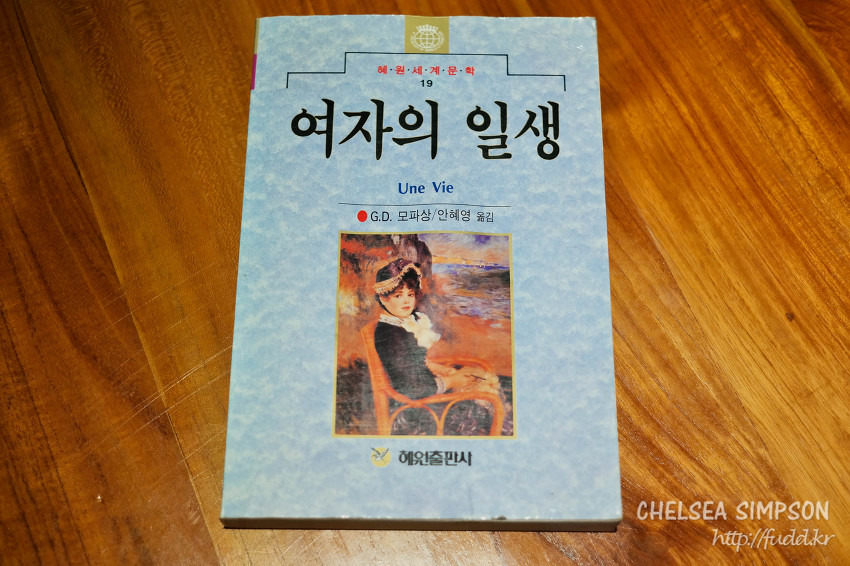 글의 미리보기 사진