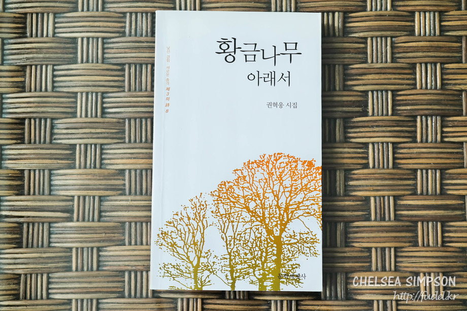 글의 미리보기 사진