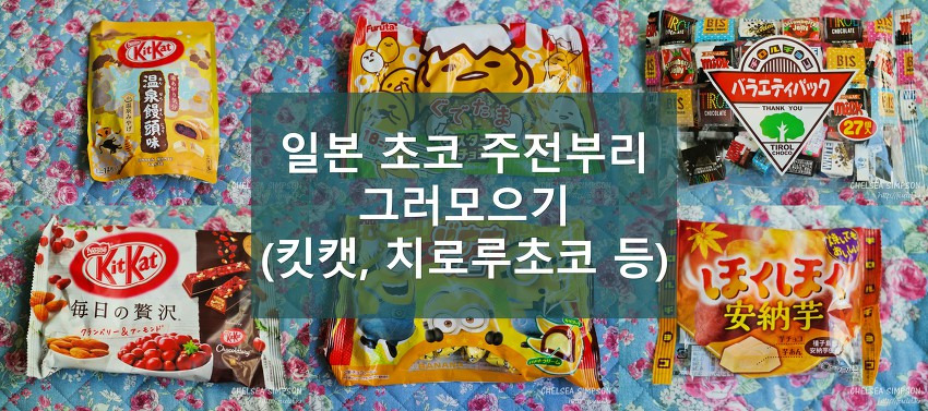 글의 미리보기 사진