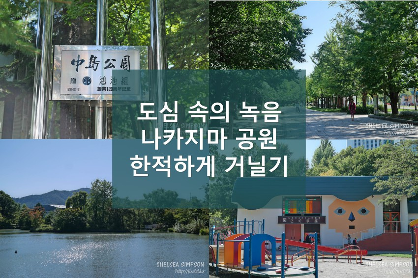 글의 미리보기 사진