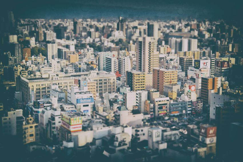 글의 미리보기 사진