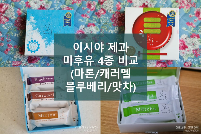 글의 미리보기 사진