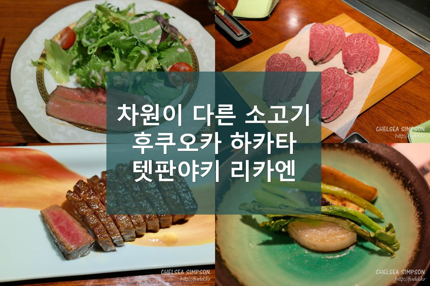 글의 미리보기 사진