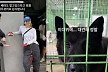 이효리, 폭염도 못 막는 선행…