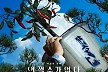 박찬욱 ‘어쩔수가없다’, 골든글로브 이어 크리틱스초이스 2개 부문 노미