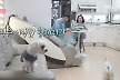 많이 본 뉴스
