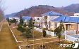 새 농촌마을에 '원림녹화' 추진…"농촌 문명 활짝 꽃피워" [데일리 북한]