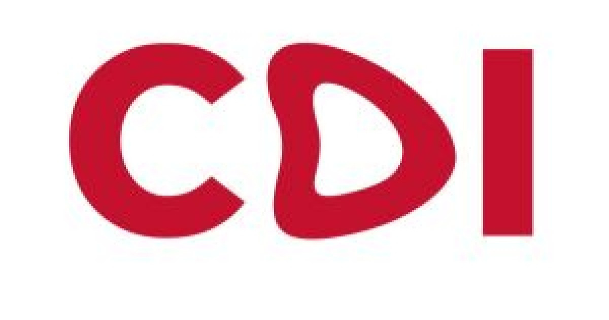 CDI 홀딩스, 글로벌 교육기업으로 도약