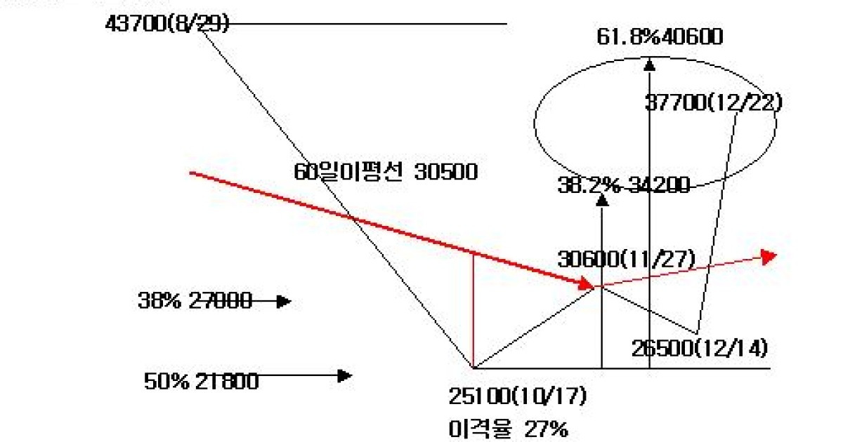 집중과 분산의 투자철학⑤