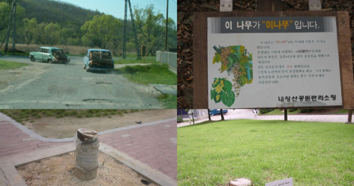 [blog+] 밑둥 잘린 '희망의 나무'