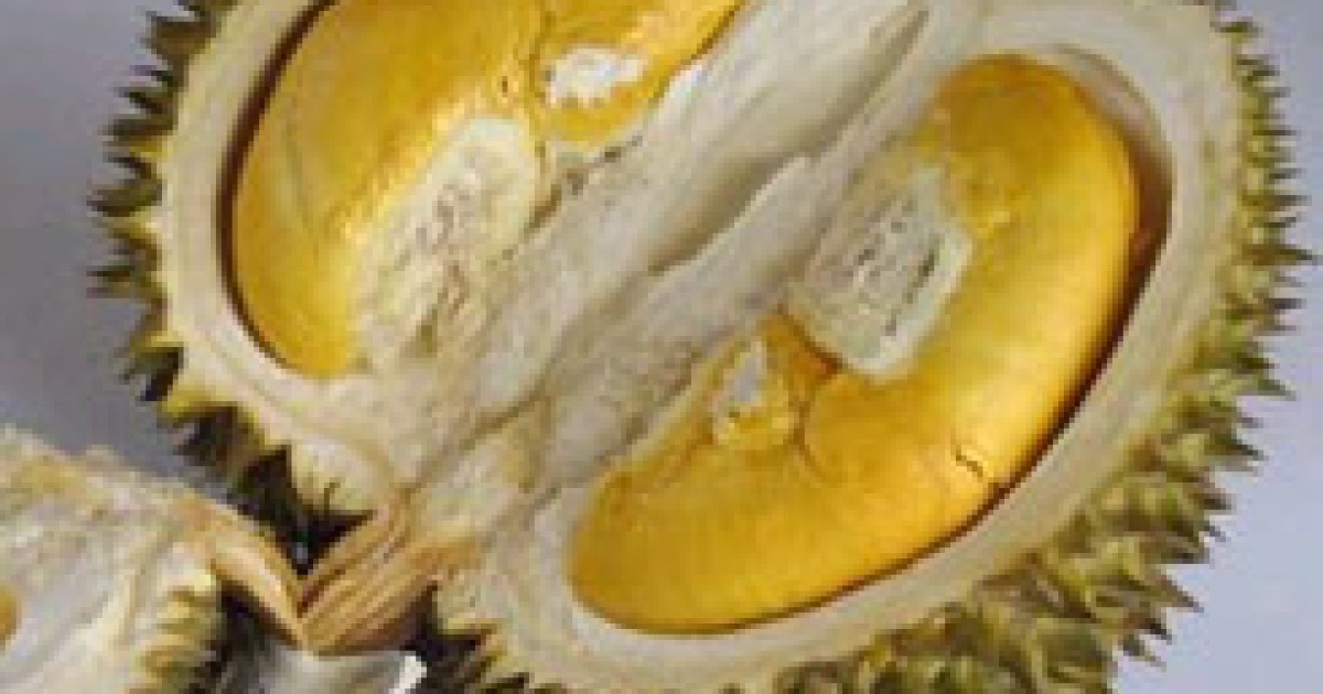 [blog+] 천국의 맛, 지옥의 향기 '두리안'