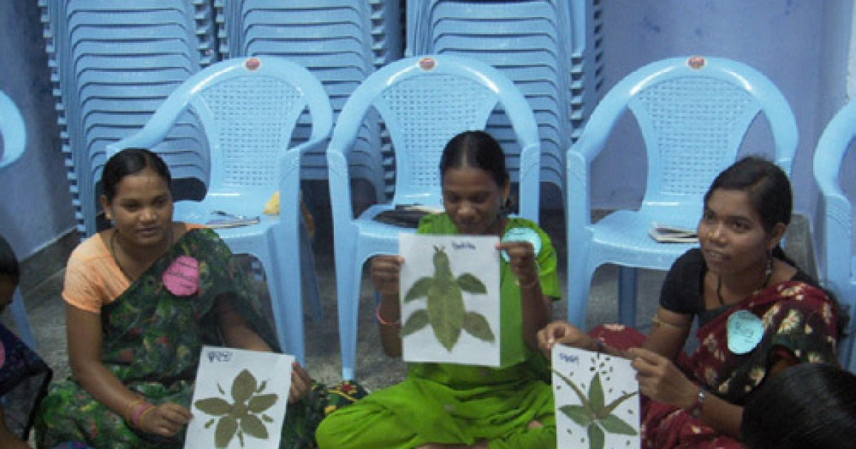 [blog+] 인도에도 '무궁화 꽃이 피었습니다'