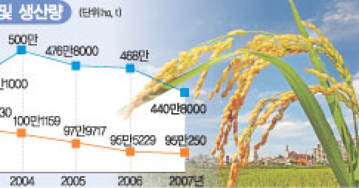 올해 쌀 생산 440만8천t..27년만에 최저
