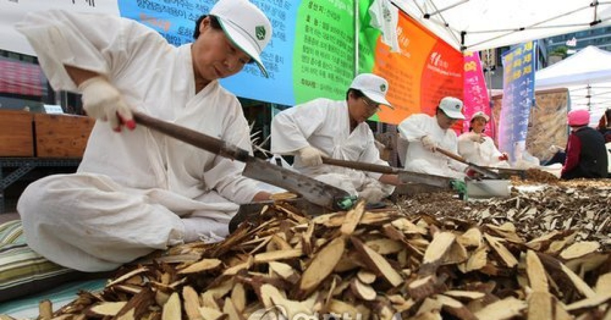 한의약문화축제 약재 썰기 시연